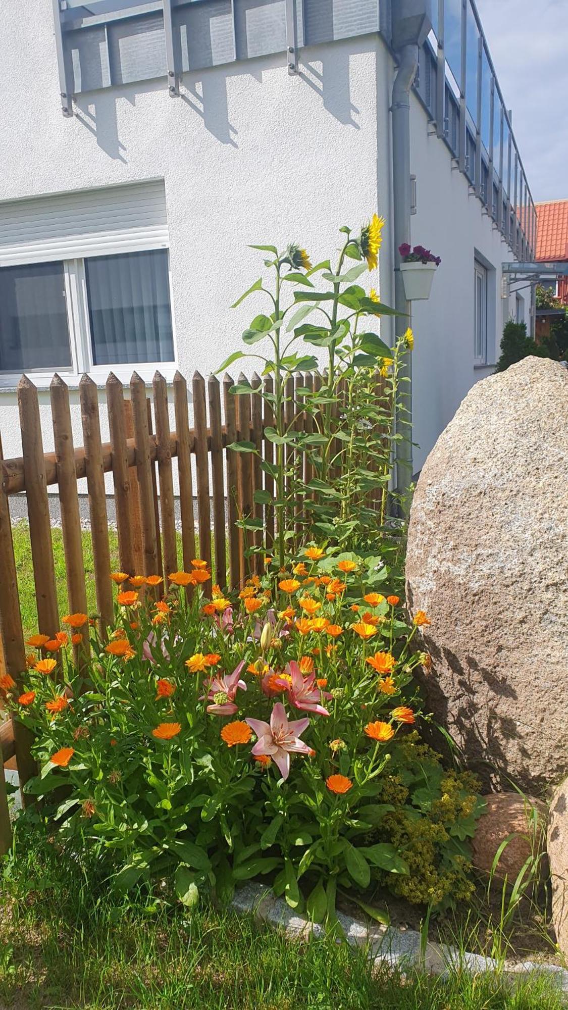Ferienwohnungen "Godewind", Appartements Mit Balkon Oder Terrasse Zinnowitz Luaran gambar