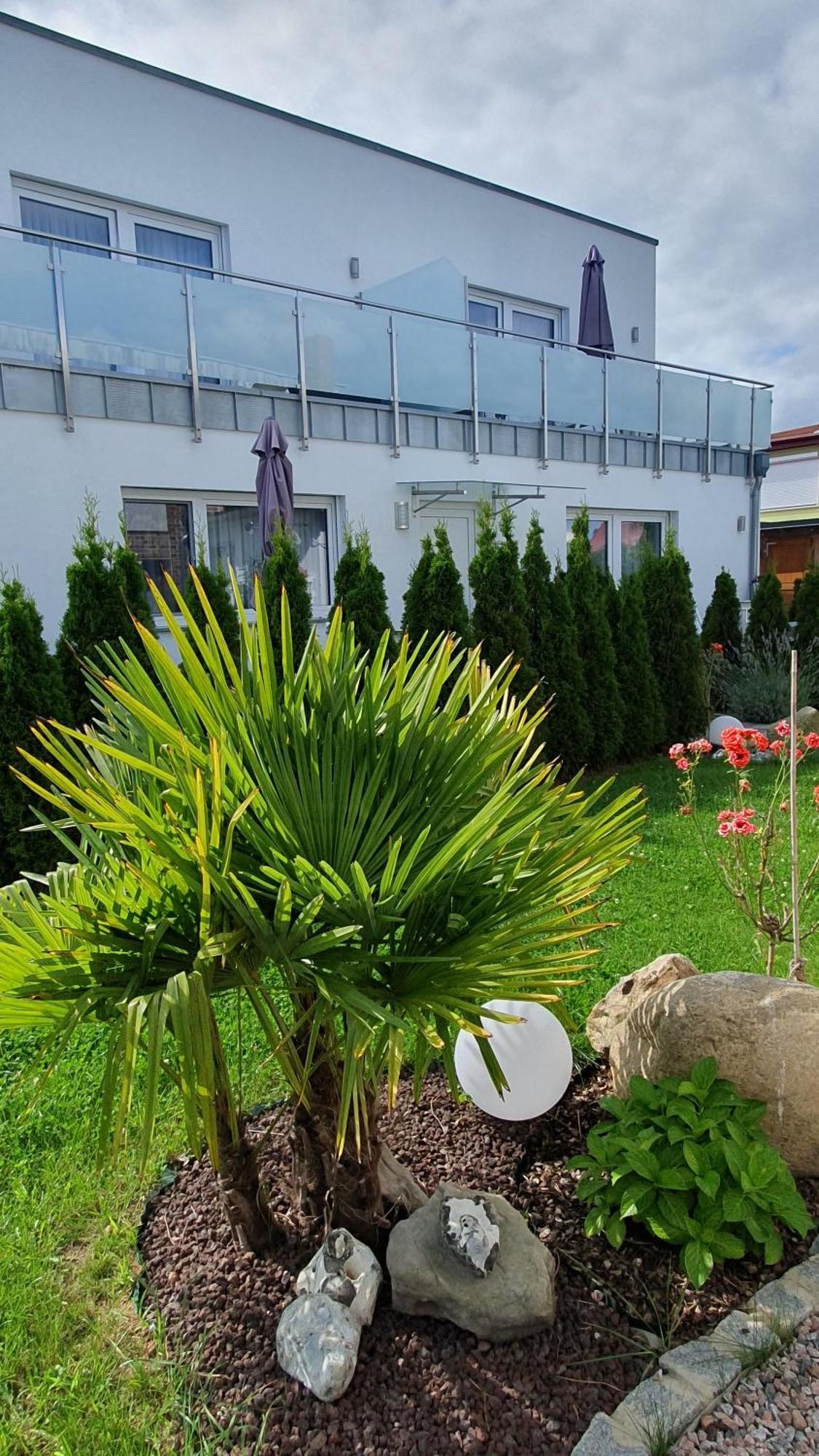 Ferienwohnungen "Godewind", Appartements Mit Balkon Oder Terrasse Zinnowitz Luaran gambar